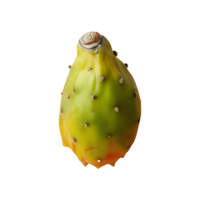 Cactus Pear isolated on transparent background png
