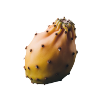Cactus Pear isolated on transparent background png