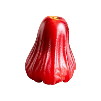 camu camu isolado em transparente fundo png