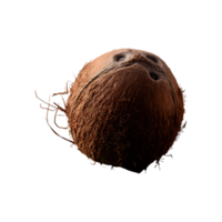 Coconut isolated on transparent background png