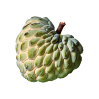 Custard Apple isolated on transparent background png