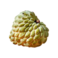 Custard Apple isolated on transparent background png