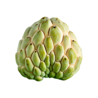 Custard Apple isolated on transparent background png