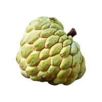 Custard Apple isolated on transparent background png