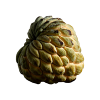 Custard Apple isolated on transparent background png