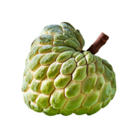 Custard Apple isolated on transparent background png
