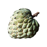 Custard Apple isolated on transparent background png