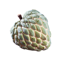 Custard Apple isolated on transparent background png