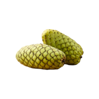 Ambarella fruit isolated on transparent background png
