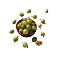 Gooseberry isolated on transparent background png
