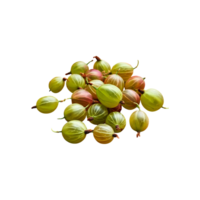 Gooseberry isolated on transparent background png