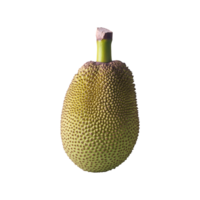 Jackfruit isolated on transparent background png