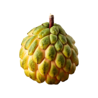 Miracle Fruit isolated on transparent background png