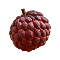 Miracle Fruit isolated on transparent background png
