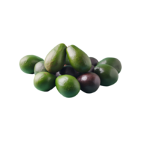 Avocado isolated on transparent background png