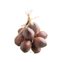 Salak isolated on transparent background png