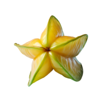 Starfruit isolated on transparent background png