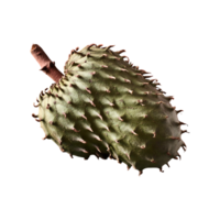Soursop isolated on transparent background png