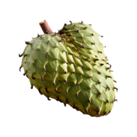 Soursop isolated on transparent background png