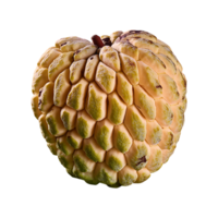 Sugar Apple isolated on transparent background png