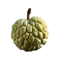 Sugar Apple isolated on transparent background png