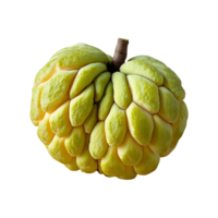 Sugar Apple isolated on transparent background png