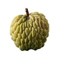 Sugar Apple isolated on transparent background png