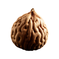 Bael fruit isolated on transparent background png