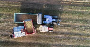 drone aerial view of a tractor with a harvester harvesting potatoes, top down footage video