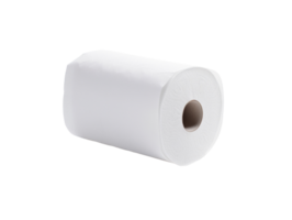 Empty toilet paper roll isolated on transparent background png