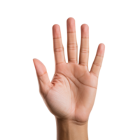 Extended hand isolated on transparent background png