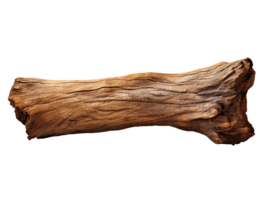 Empty tree trunk isolated on transparent background png
