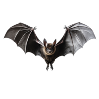 Flying black bat isolated on transparent background png