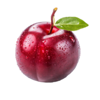 Fresh red plum isolated on transparent background png