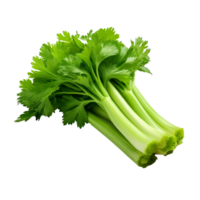 Fresh celery isolated on transparent background png