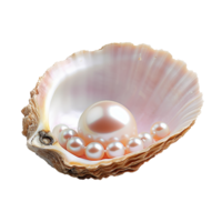 pearl in a shell isolated on transparent background png