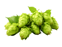 Pile of hop cone isolated on transparent background png