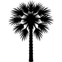 Palmetto tree black silhouette illustration vector