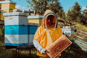 Beekeeper checking honey on the beehive frame in the field. Small business owner on apiary. Natural healthy food produceris working with bees and beehives on the apiary. photo