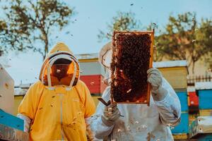 Beekeepers checking honey on the beehive frame in the field. Small business owners on apiary. Natural healthy food produceris working with bees and beehives on the apiary. photo