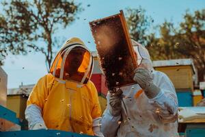 Beekeepers checking honey on the beehive frame in the field. Small business owners on apiary. Natural healthy food produceris working with bees and beehives on the apiary. photo