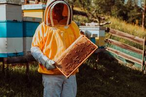 Beekeeper checking honey on the beehive frame in the field. Small business owner on apiary. Natural healthy food produceris working with bees and beehives on the apiary. photo