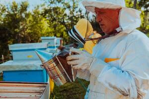 Beekeepers check the honey on the hive frame in the field. Beekeepers check honey quality and honey parasites. A beekeeper works with bees and beehives in an apiary. photo