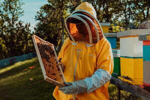 Beekeepers checking honey on the beehive frame in the field. Small business owners on apiary. Natural healthy food produceris working with bees and beehives on the apiary. photo