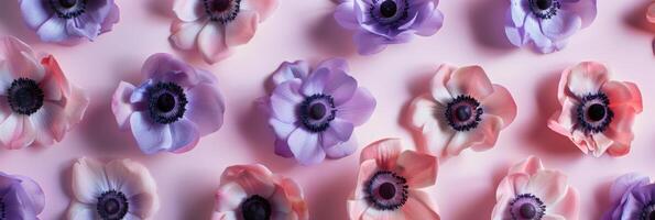 A row of purple and pink flowers are arranged in a pattern photo