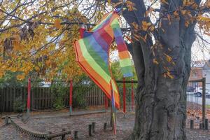 A flying kite entangled in the branches of a large tree. Close-up. Autumn cityscape photo