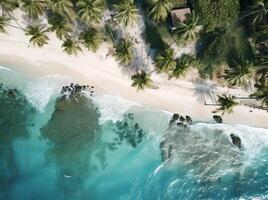 Aerial View Of Tropical Beach Paradise photo