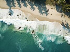 Aerial View Of Tropical Beach Scene photo