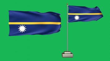 Nauru flag waving in the wind on a green background. 3d Animation of a flag flying with a pole video