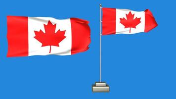 Canada flag waving in the wind on a blue background. 3d Animation of a flag flying with a pole video